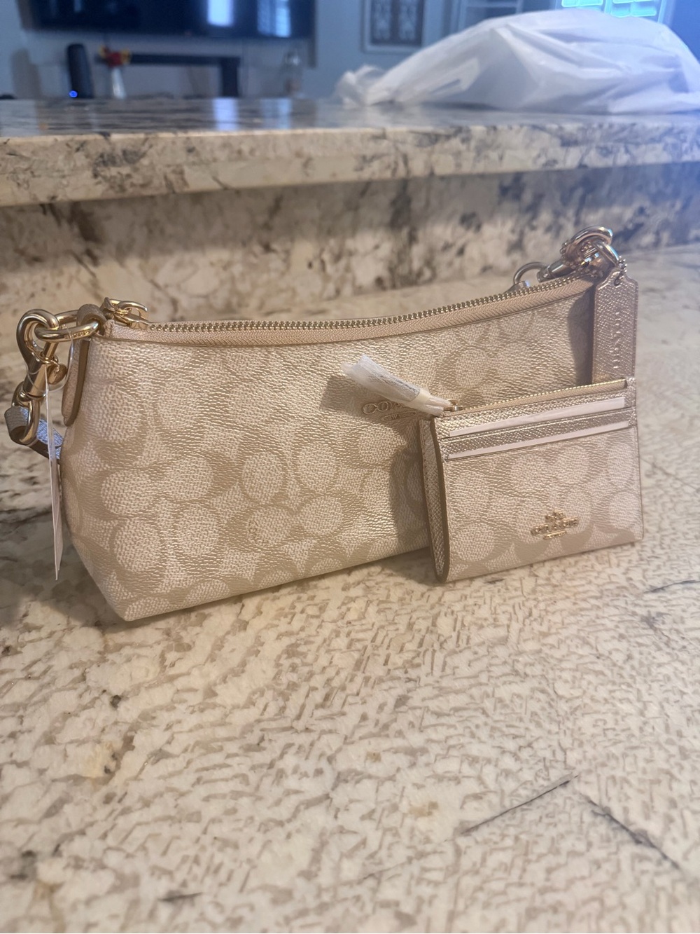 Coach Chalk Signature Wristlet with Matching Card Case